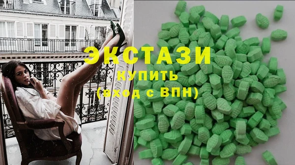 ECSTASY Богородицк