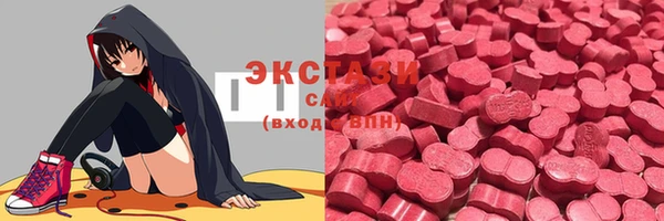 ECSTASY Богородицк