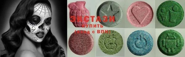 ECSTASY Богородицк