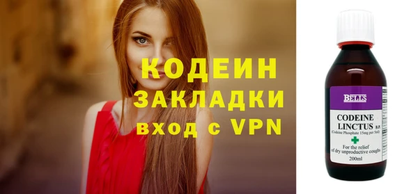 прущие грибы Липки