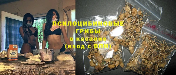 дурь Магас