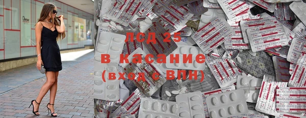 прущие грибы Липки