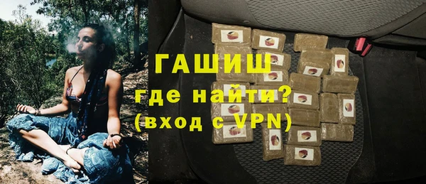 прущие грибы Магадан