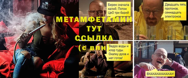 прущие грибы Магадан