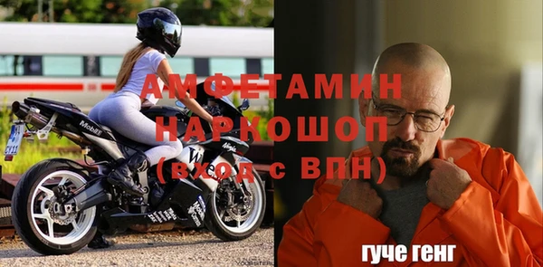прущие грибы Магадан