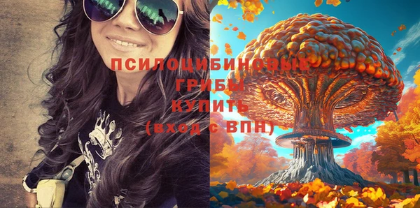 дурь Магас