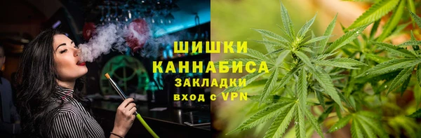 ECSTASY Богородицк