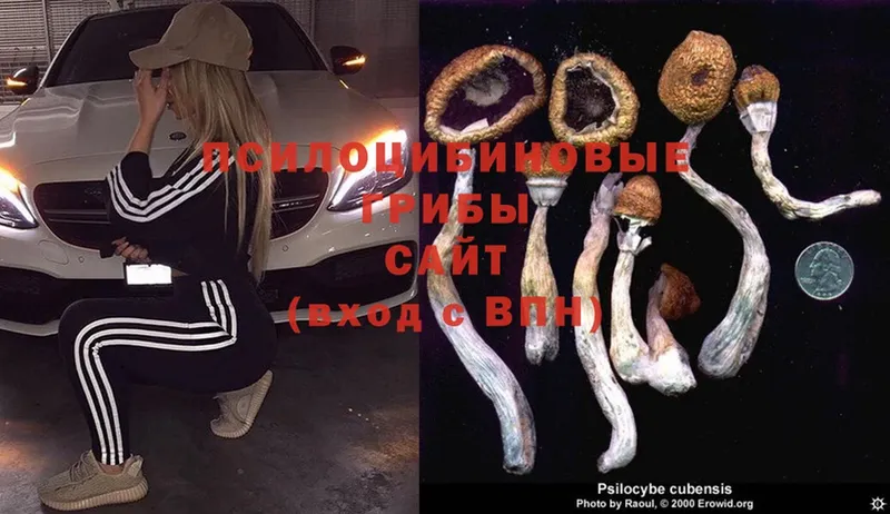 что такое   Лакинск  Псилоцибиновые грибы Magic Shrooms 